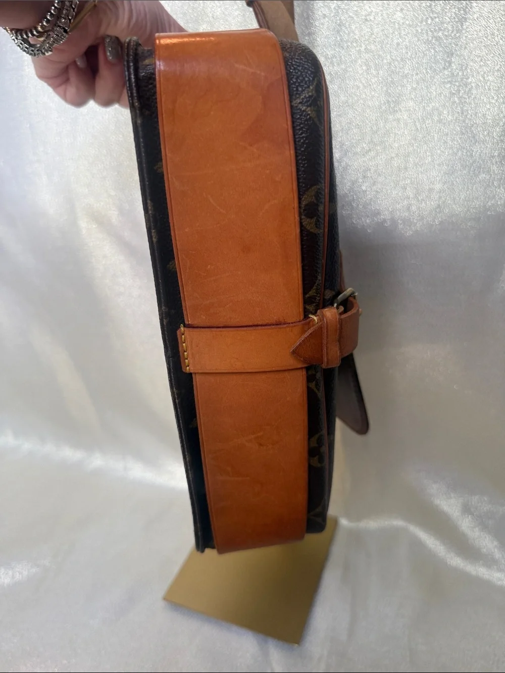 Louis Vuitton Monogram Cartouchiere Shoulder Crossbody
